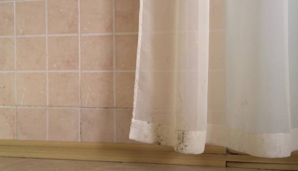 Best Forensic Mold Investigation  in Flowing Wells, AZ