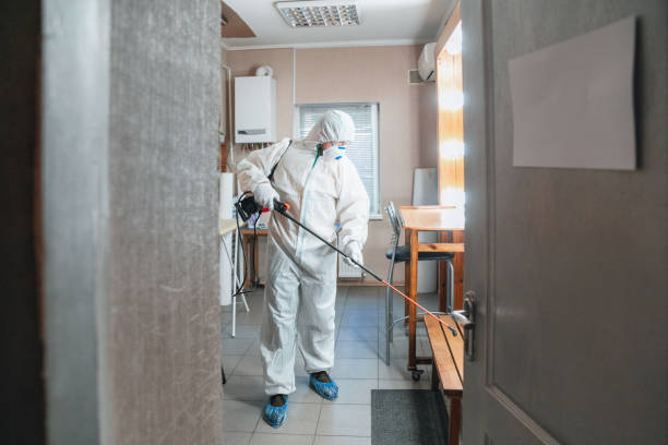 Best Real Estate Mold Inspection  in Flowing Wells, AZ