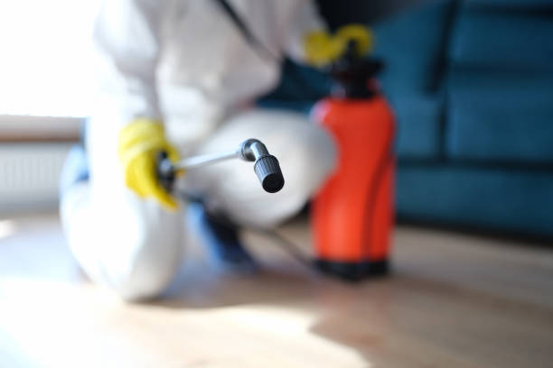 Best Airborne Mold Testing  in Flowing Wells, AZ