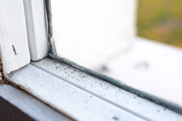 Best Indoor Air Quality Assessment  in Flowing Wells, AZ