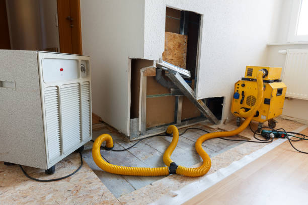 Best HVAC Mold Inspection and Cleaning  in Flowing Wells, AZ